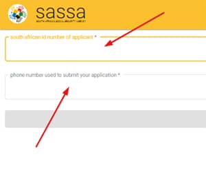 Provide Your Sassa Credentials
